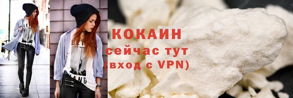 молекула духа Арсеньев