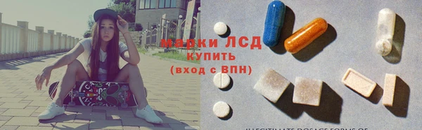 молекула духа Арсеньев