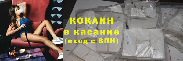молекула духа Арсеньев