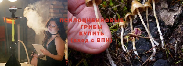 молекула духа Арсеньев